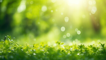 Obraz premium grass background