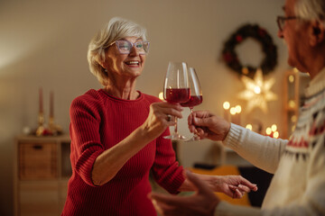 Elderly couple having a toast with wine