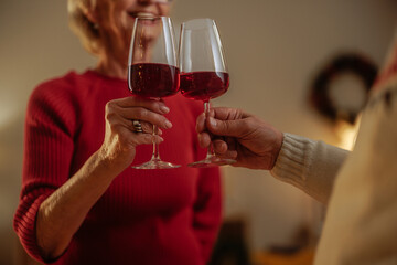 Shot of a grandma raising a toast with husband