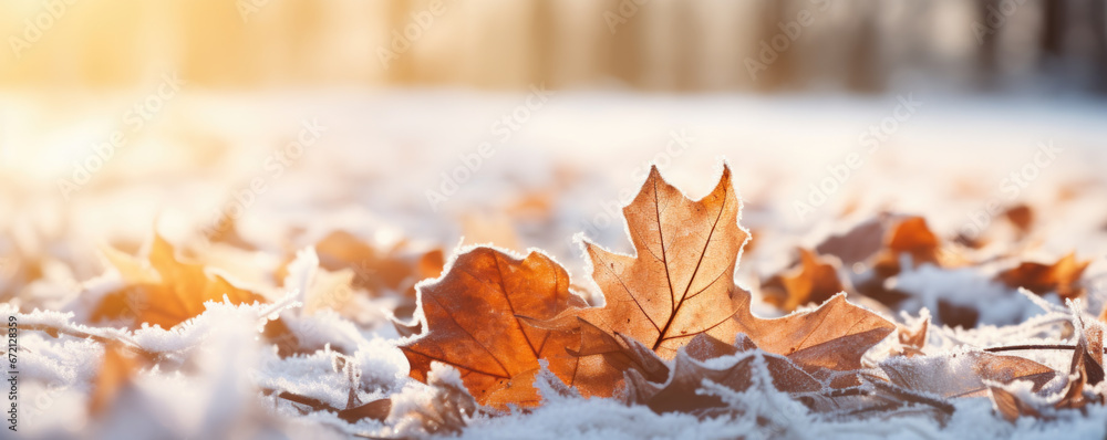 Wall mural beautiful frozen autumn maple leaves on the ground. autumn winter background