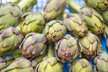 Obraz premium artichoke background