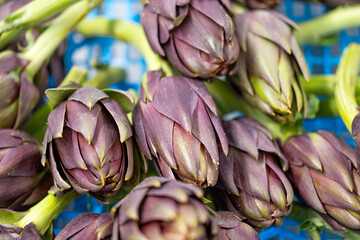 artichoke background