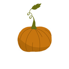 Autumn pumpkin, orange pumpkin, pumpkin