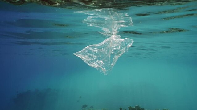 Plastic bag drifting on Ocean, underwater view, slow motion. Transparent plastic bag floating underwater on surface of blue water over coral reef in sunbeam. plastic pollution in Ocean