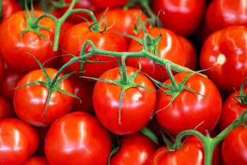 background of red tomatoes