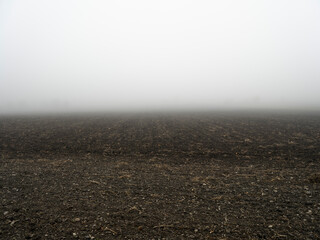 misty field in the morning