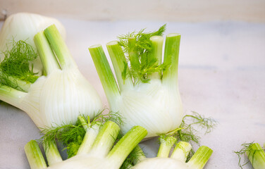background of vegetables Fennel