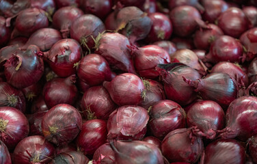 background of vegetables onions