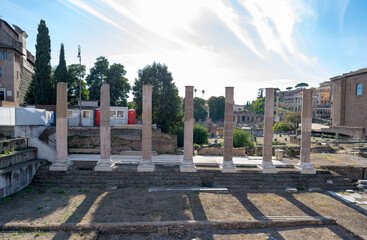 Fototapeta na wymiar Forum historical landmarks of Rome