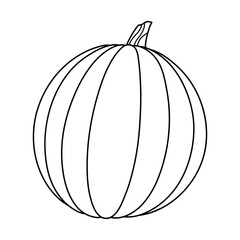 Autumn pumpkin simple line icon. Hand drawn illustration for Halloween and Thanksgiving decoration.