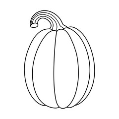 Autumn pumpkin simple line icon. Hand drawn illustration for Halloween and Thanksgiving decoration.