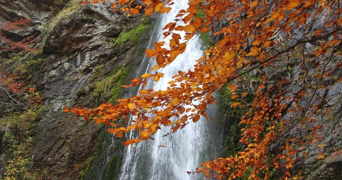 Autumn landscape with detail of a massive waterfall in a colorful forest at windy weather. The Sutovsky vodopad - waterfall in The Mala Fatra National Park, Slovakia, Europe. Slow motion 4k 100fps.