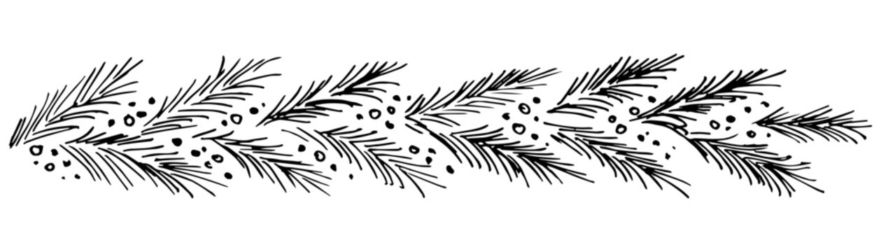 Hand drawn simple vector drawing with black outline. Pine, spruce branch, berries. Long garland, border. New Year, Christmas design.