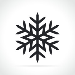snowflake icon on white background