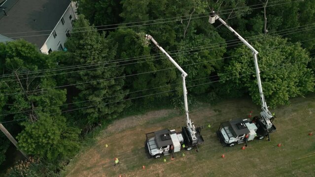 Wide footage. Safety tree trimming by work crew from company to keep tree limbs from encroaching on the electrical power lines. aerial shot