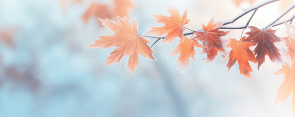 Beautiful frozen branch with orange and yellow maple leaves in the forest. Autumn winter background - Powered by Adobe