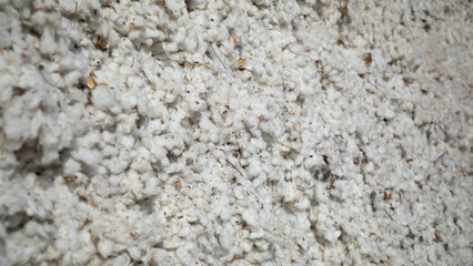 group of cotton in a cluster