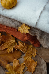 Fototapeta na wymiar Dry maple leaf on a cashmere scarf. Autumn minimal concept. cozy autumn concept. Thanksgiving or Halloween concept.