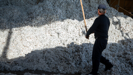 Pastdargam disctrict, Juma city, uzbekistan, October 31, 2023: man in Industry working with cottons