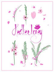 Heather, heather honey lettering, set of color illustrations, botanical illustration, for the design of cards, invitations, congratulations