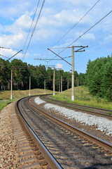 empty railway going through pine forest copy space