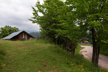 Summer landscape in (seven lakes) Yedigoller Park Bolu, Turkey