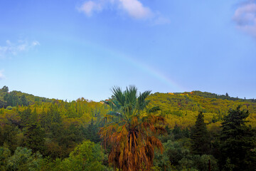rainbow over  wooded mountains and olive plantations in the north of the island of Corfu