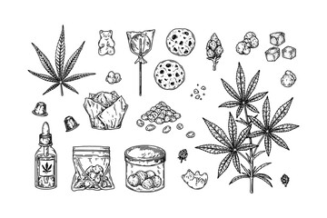 Cannabis products. Set of design elements for marijuana store decoration. Vector illustration in sketch style - obrazy, fototapety, plakaty