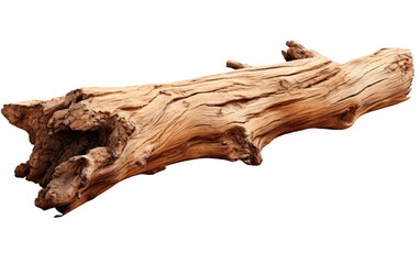 Wooden Legacy The Ageless Beauty of Tree Trunks on White or PNG Transparent Background.