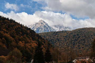Bucegi Natural Park. Colorful autumn landscape in the Carpathian Mountains, Romania. Fall Season.