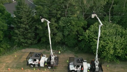 Safety tree trimming by work crew from company to keep tree limbs from encroaching on the electrical power lines. aerial shot