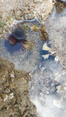 porto santo landscape paradise