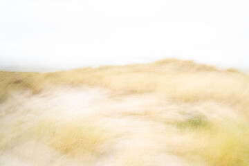 ICM (Intertional Camera Movement) photography on the dunes of Ameland - Wadden Islands - The Netherlands