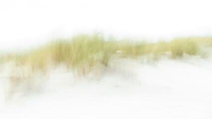 ICM (Intertional Camera Movement) photography on the dunes of Ameland - Wadden Islands - The Netherlands