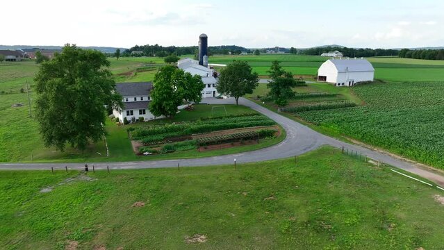 Amish farm in Lancaster, Pennsylvania. Aerial descending shot above pasture with Amish woman weed whacking grass. House, garden, barns, and silos.