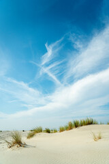The dunes of Ameland - Wadden Islands