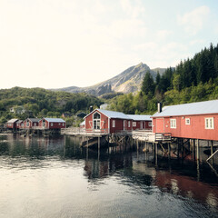 Fishing village Nusfjord Norway houses