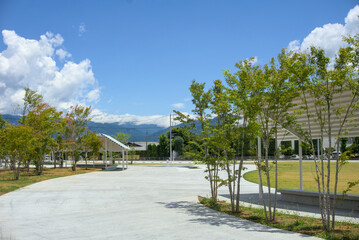 夏の公園広場