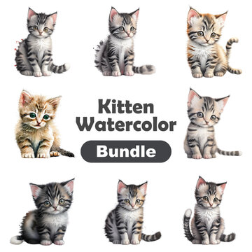 Cute portrait of cat watercolor isolated on white background. Kitty cartoon watercolor graphic