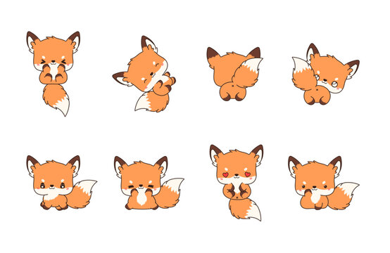 Set of Kawaii Isolated Fox. Collection of Vector Cartoon Animal Illustrations for Stickers, Baby Shower, Coloring Pages, Prints for Clothes