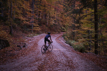 Fit male cyclist riding a gravel bike in autumn forest. Amazing autumn foliage. Cyclist training on...