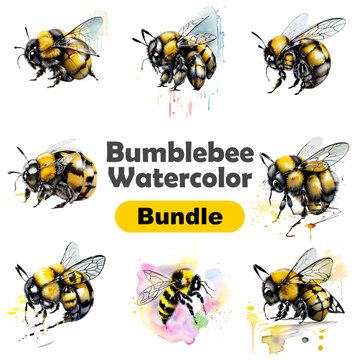 Watercolor illustration. Realistic drawing of a bumblebee in flight. Isolated on a white background. For the design of stickers, honey labels, wild flower cards, pollen or wax packages.