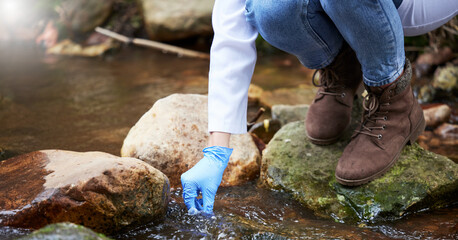 Forest, water and hands of environmentalist test sample for research or inspection of the ecosystem...