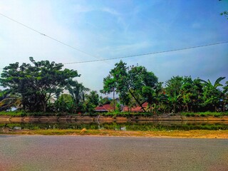 road next to irrigation