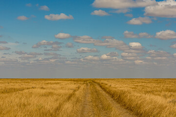 Bright sunny day in the Russian steppe with Cumulus clouds. Fluffy white clouds in the blue sky....