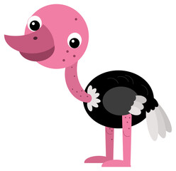 Cartoon happy animal bird ostrich safari isolated illustration for children