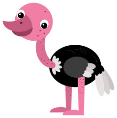 Cartoon happy animal bird ostrich safari isolated illustration for children
