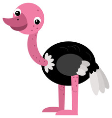 Cartoon happy animal bird ostrich safari isolated illustration for children