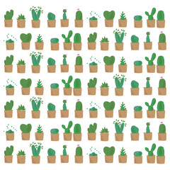 Cactus cute