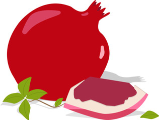 illustration of pomegranate with leaves